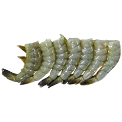 Placeholder Image 1