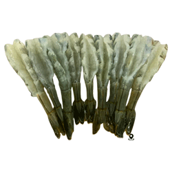 Placeholder Image 1