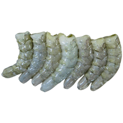 Placeholder Image 1