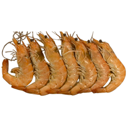 Placeholder Image 1